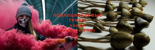 бутират Кукмор