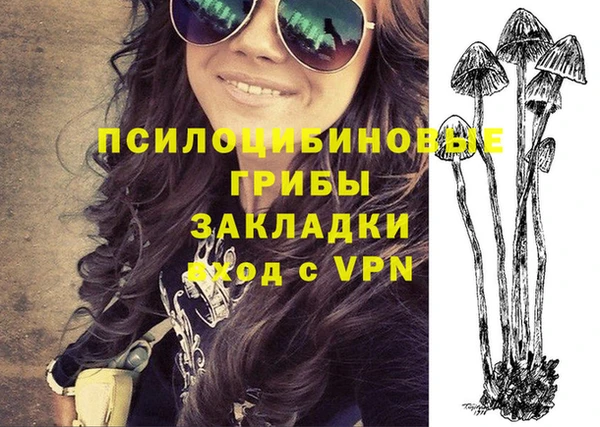 ГАЛЛЮЦИНОГЕННЫЕ ГРИБЫ Уссурийск