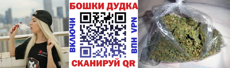 Бошки Шишки планчик Тимашёвск